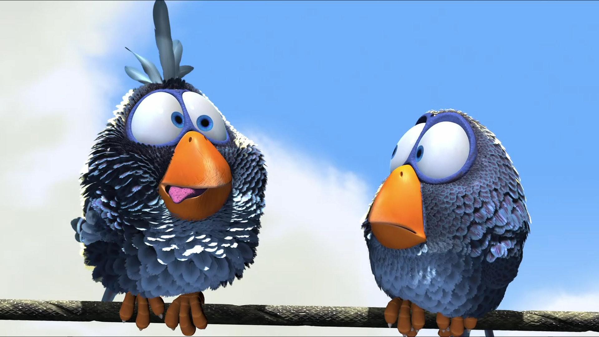 For the Birds Background