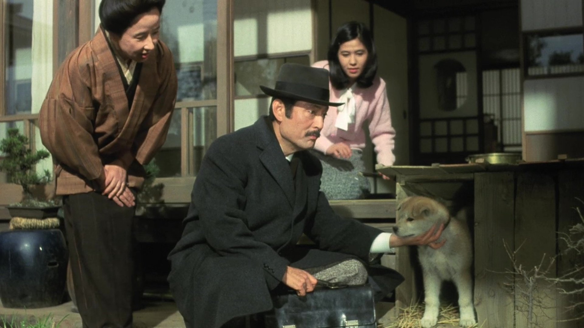 Hachiko Background
