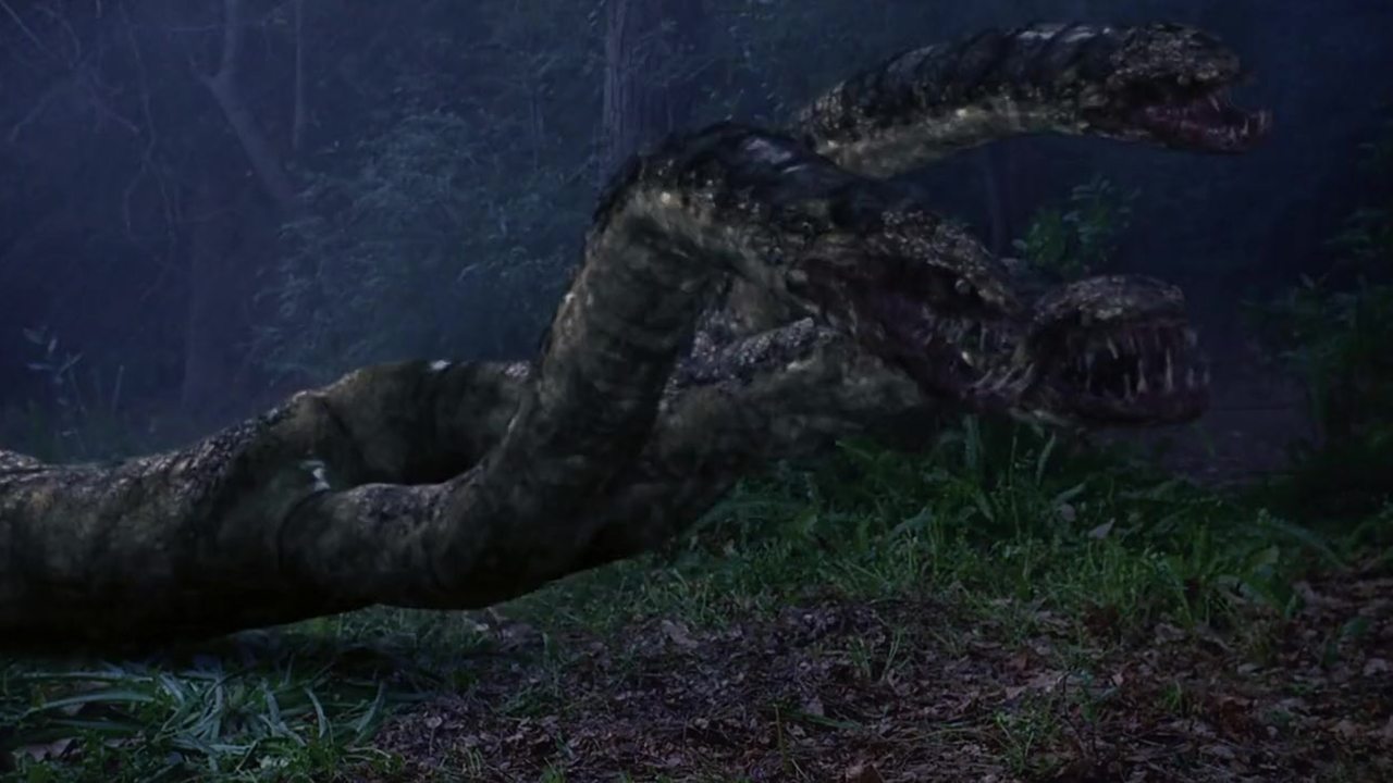 Hydra Background