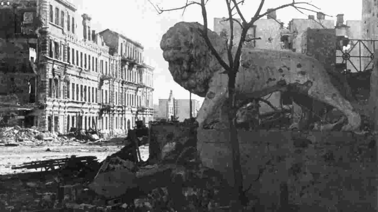 Stalingrad - Stimmen aus Ruinen Background