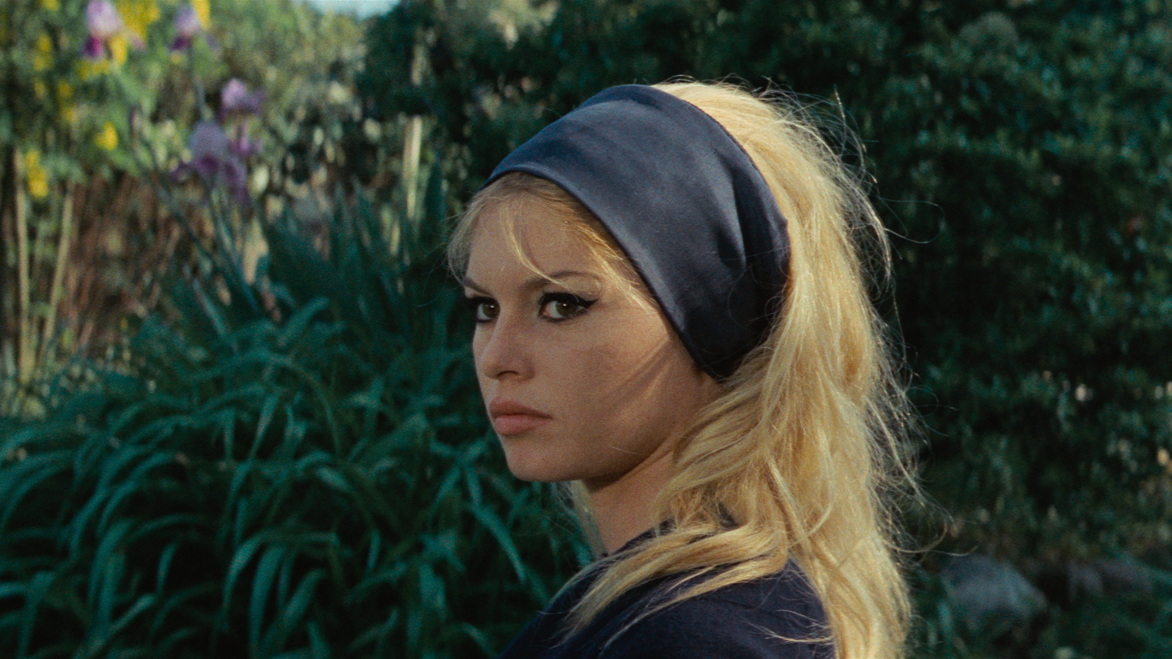 Contempt Background