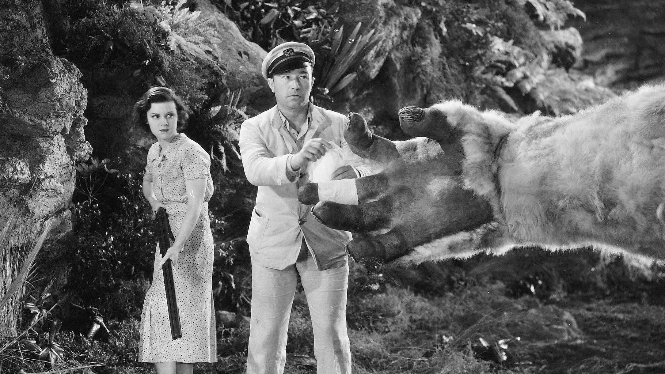 The Son of Kong Background