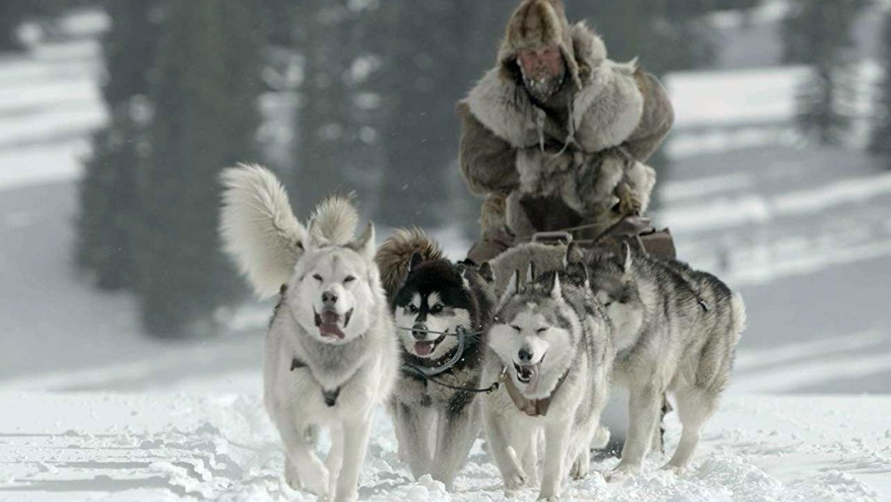 The Great Alaskan Race Background
