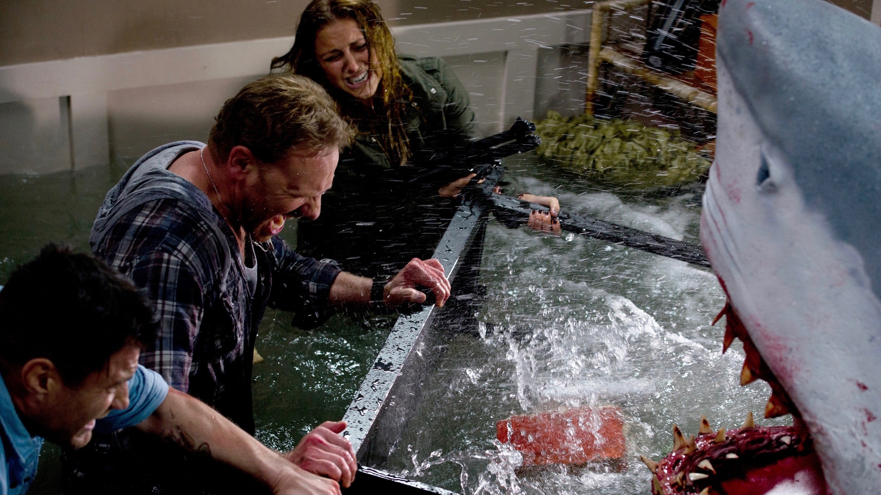 Sharknado Background