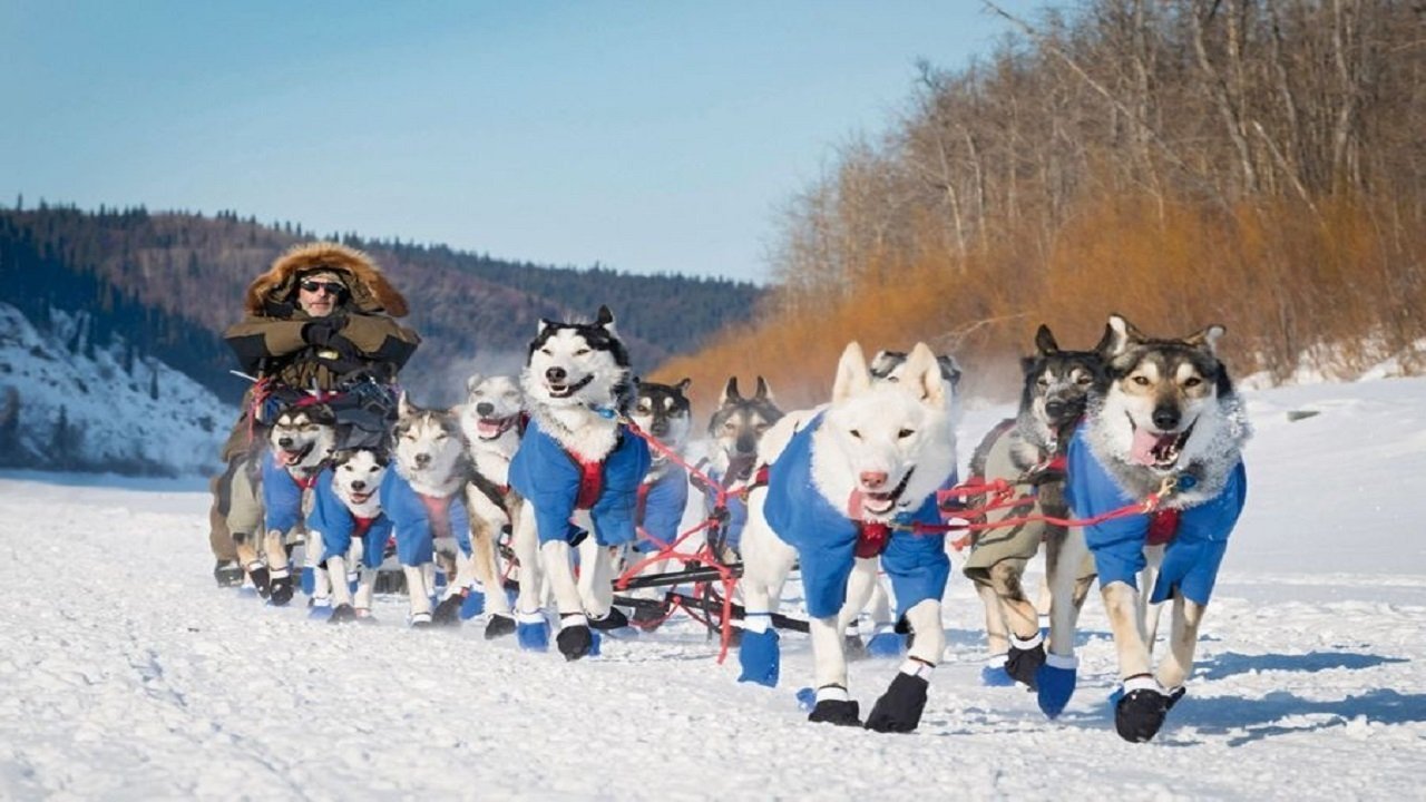 Siberian Odyssey Background