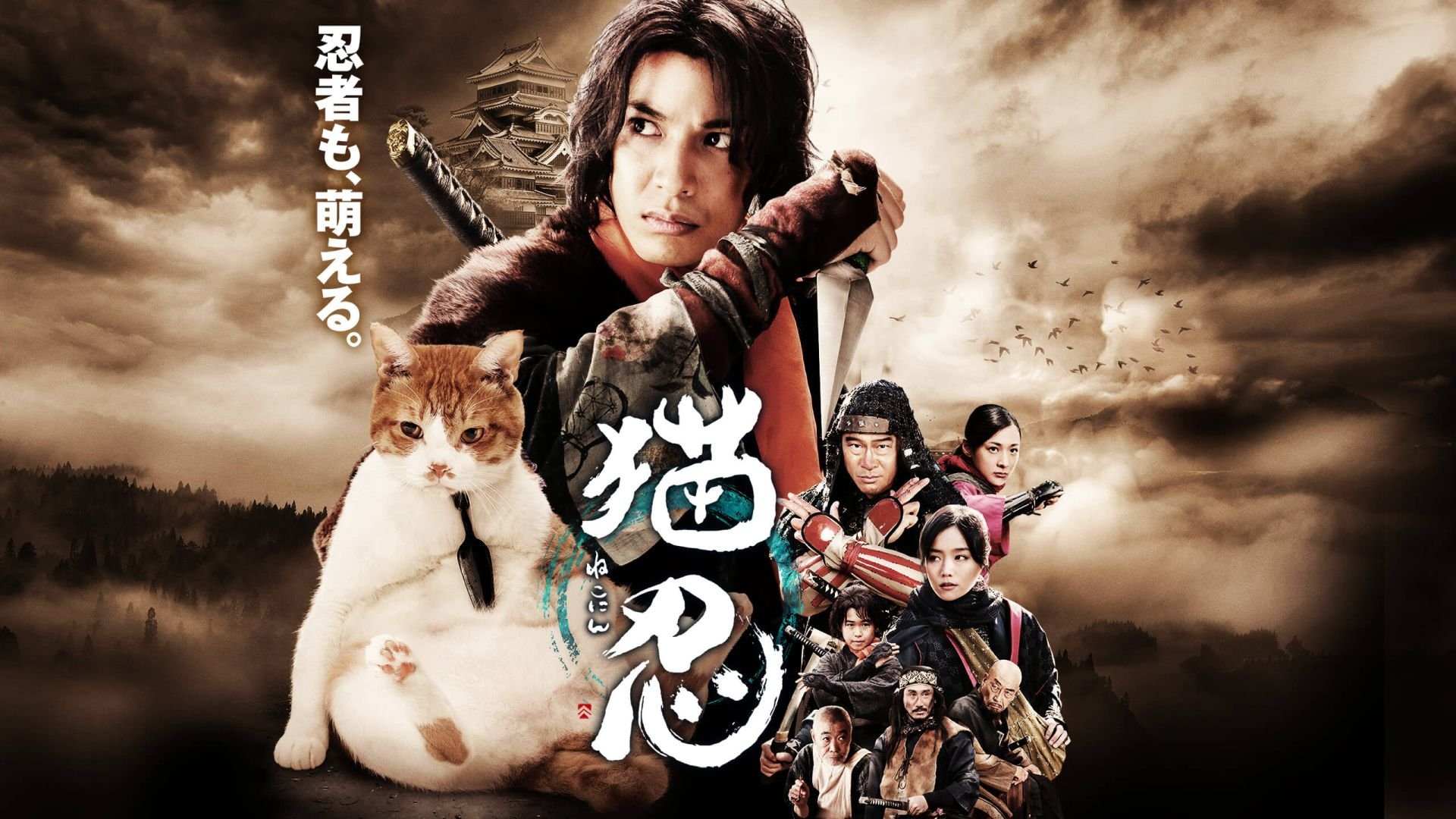 Neko Ninja Background
