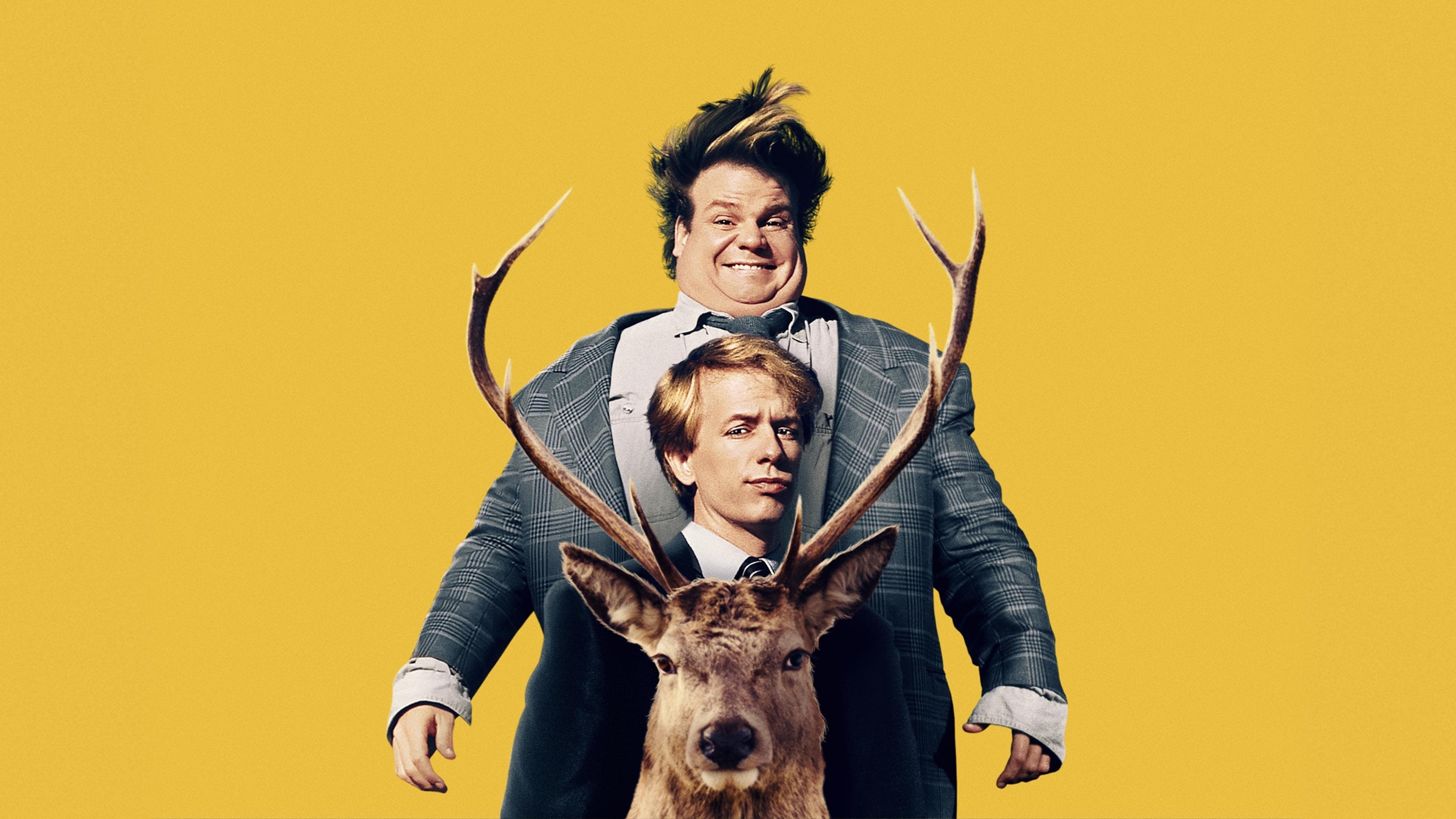 Tommy Boy Background