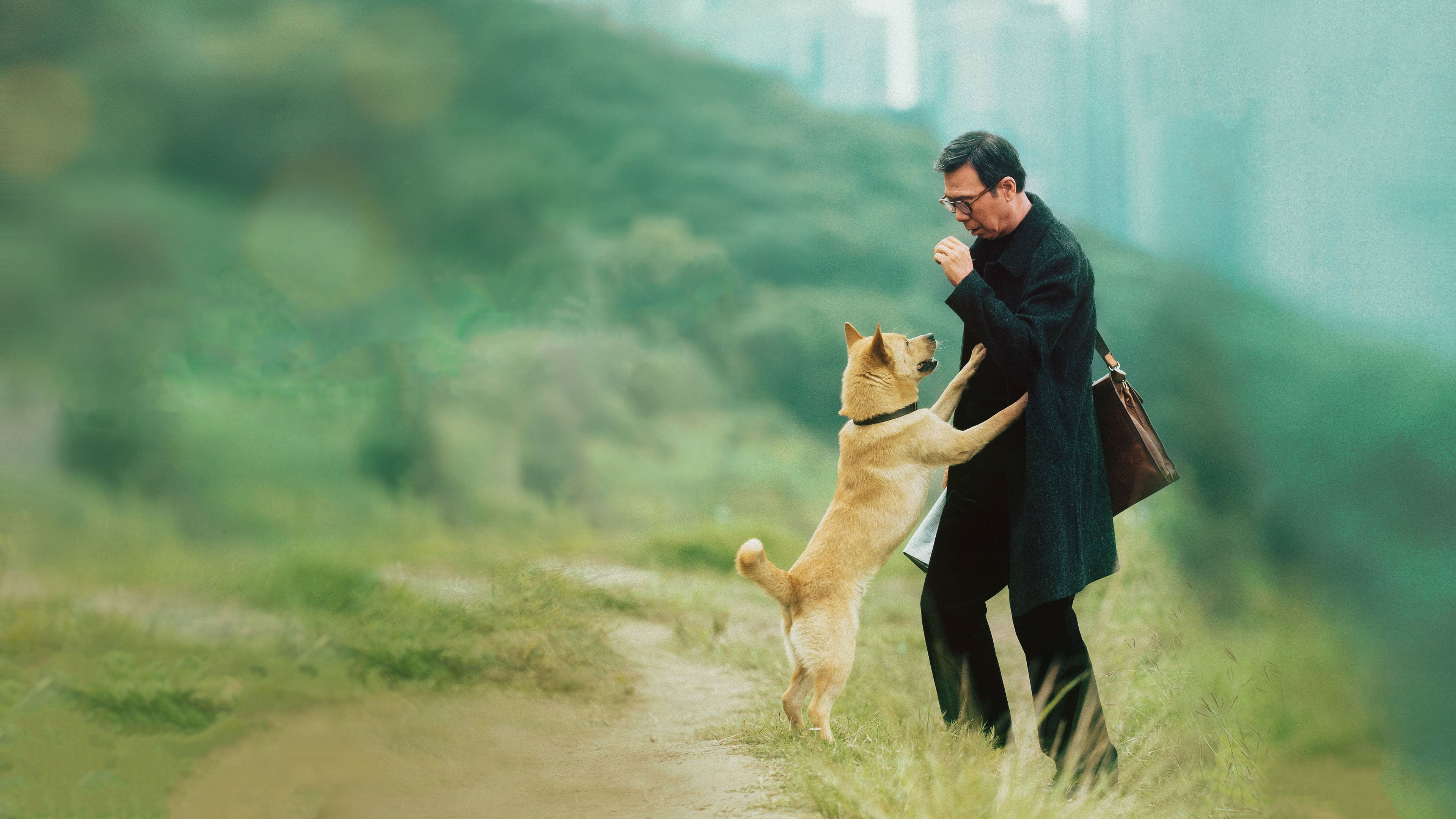 Hachiko Background