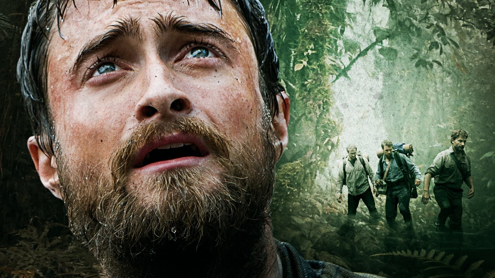 Jungle Background