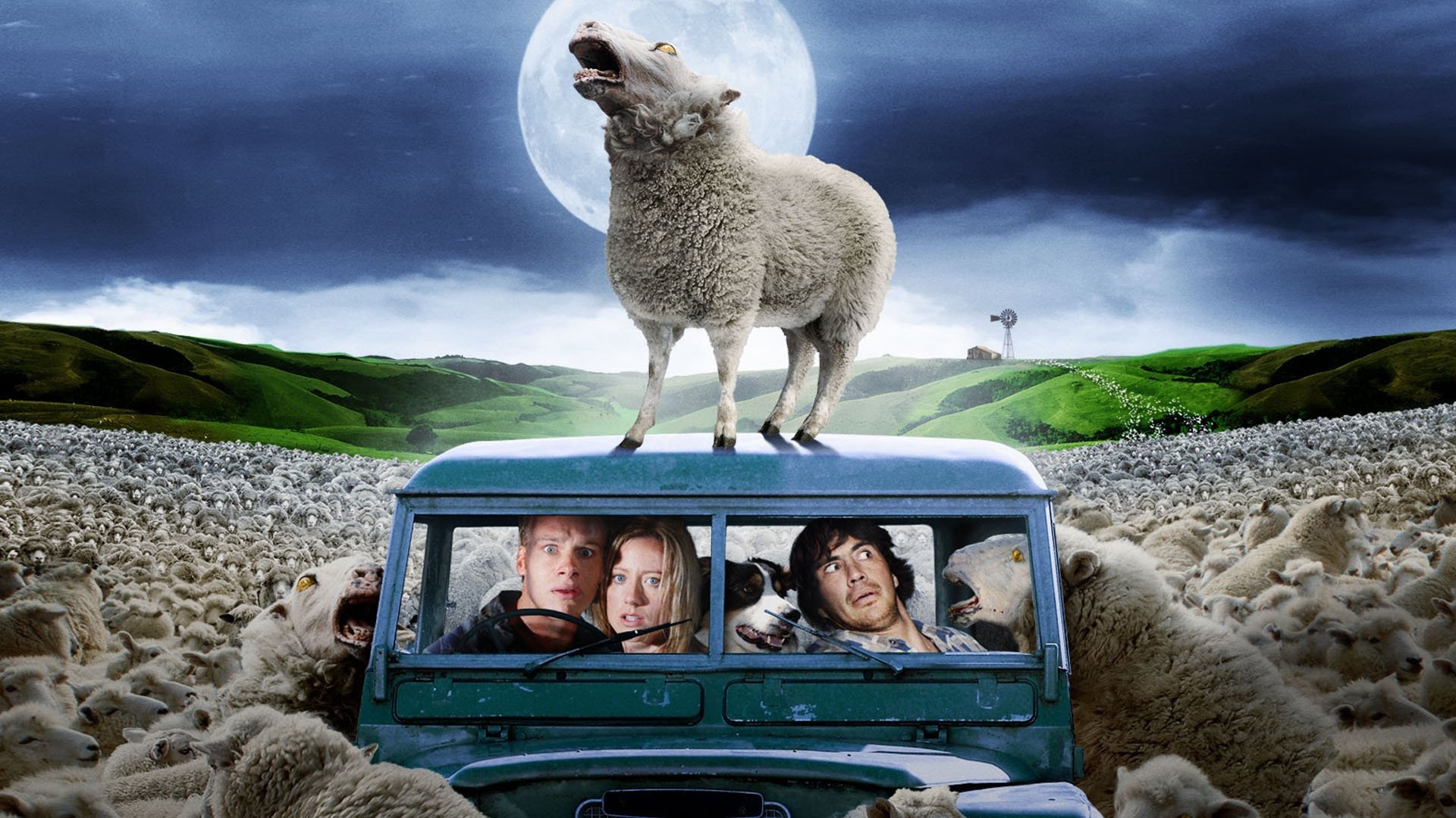 Black Sheep Background