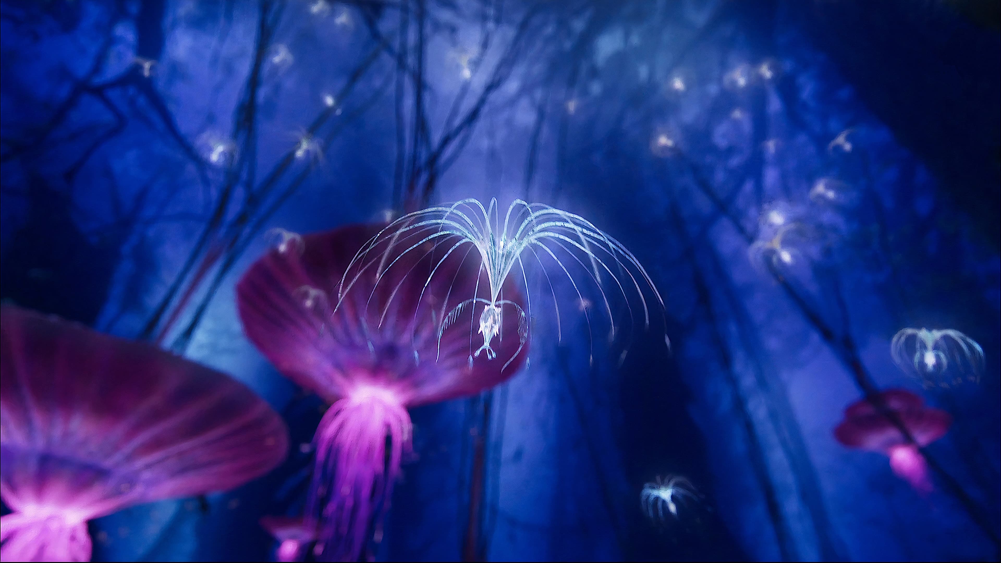 Avatar: Creating the World of Pandora Background