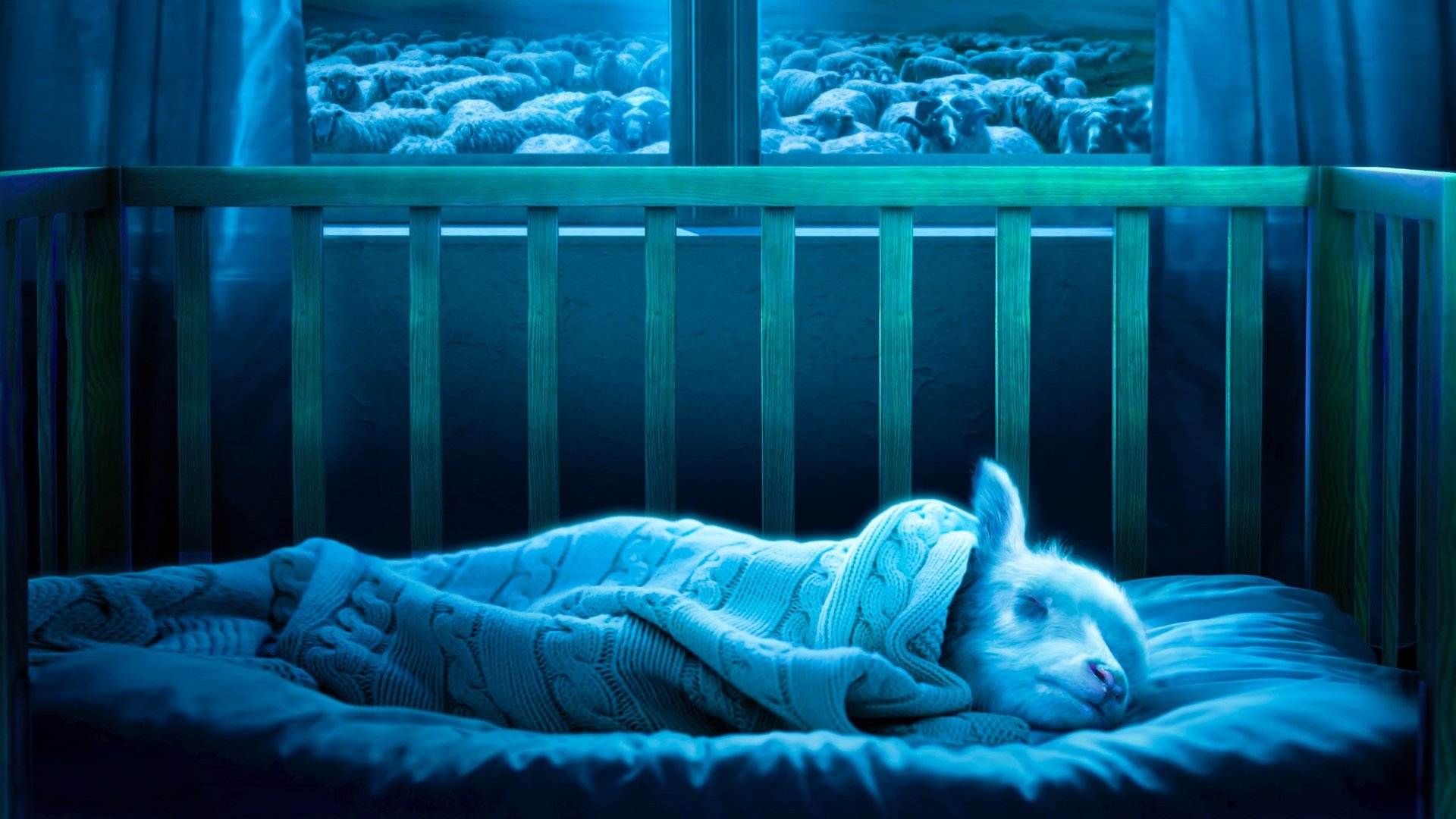 Lamb Background