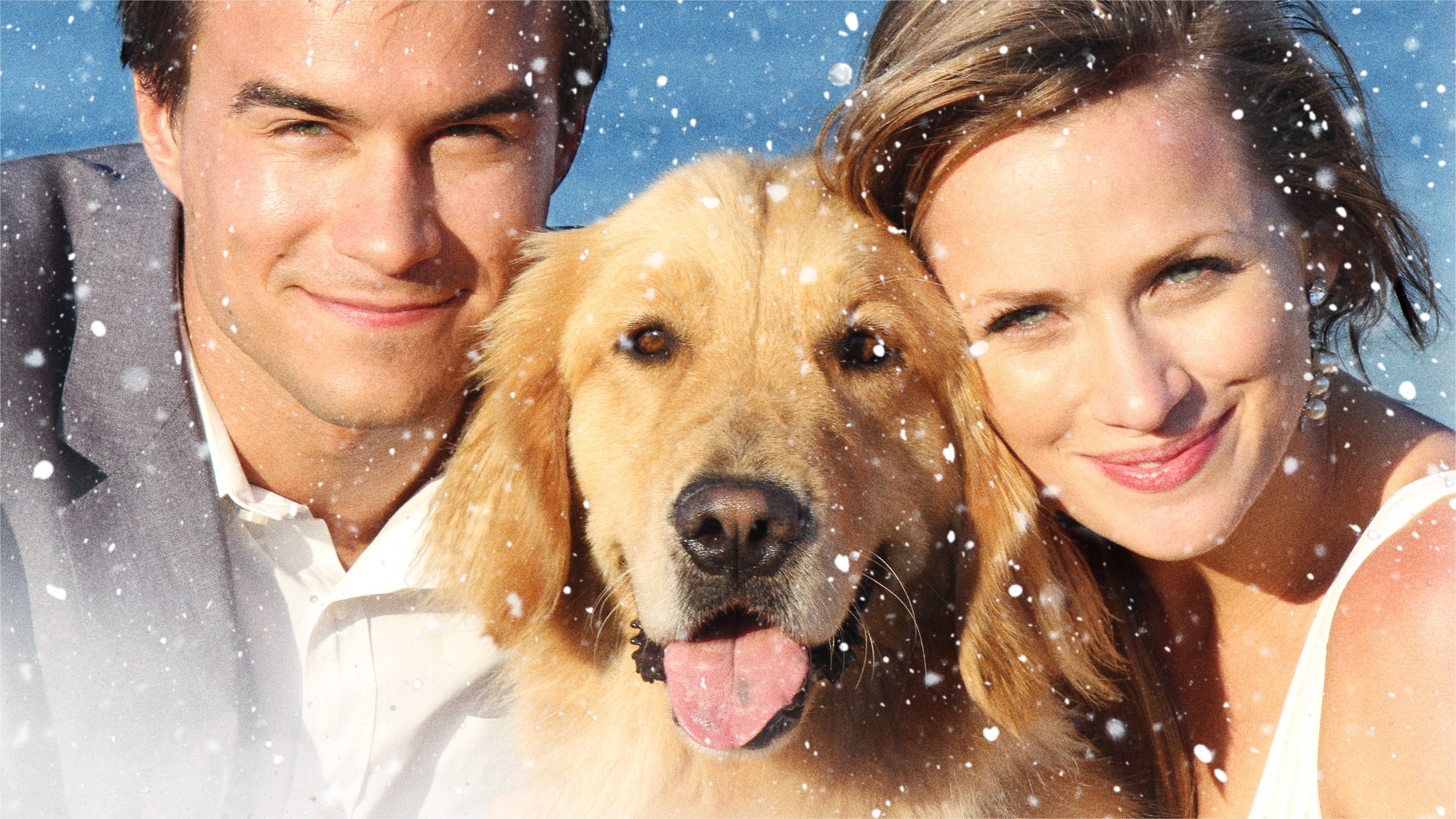A Golden Christmas 3 Background