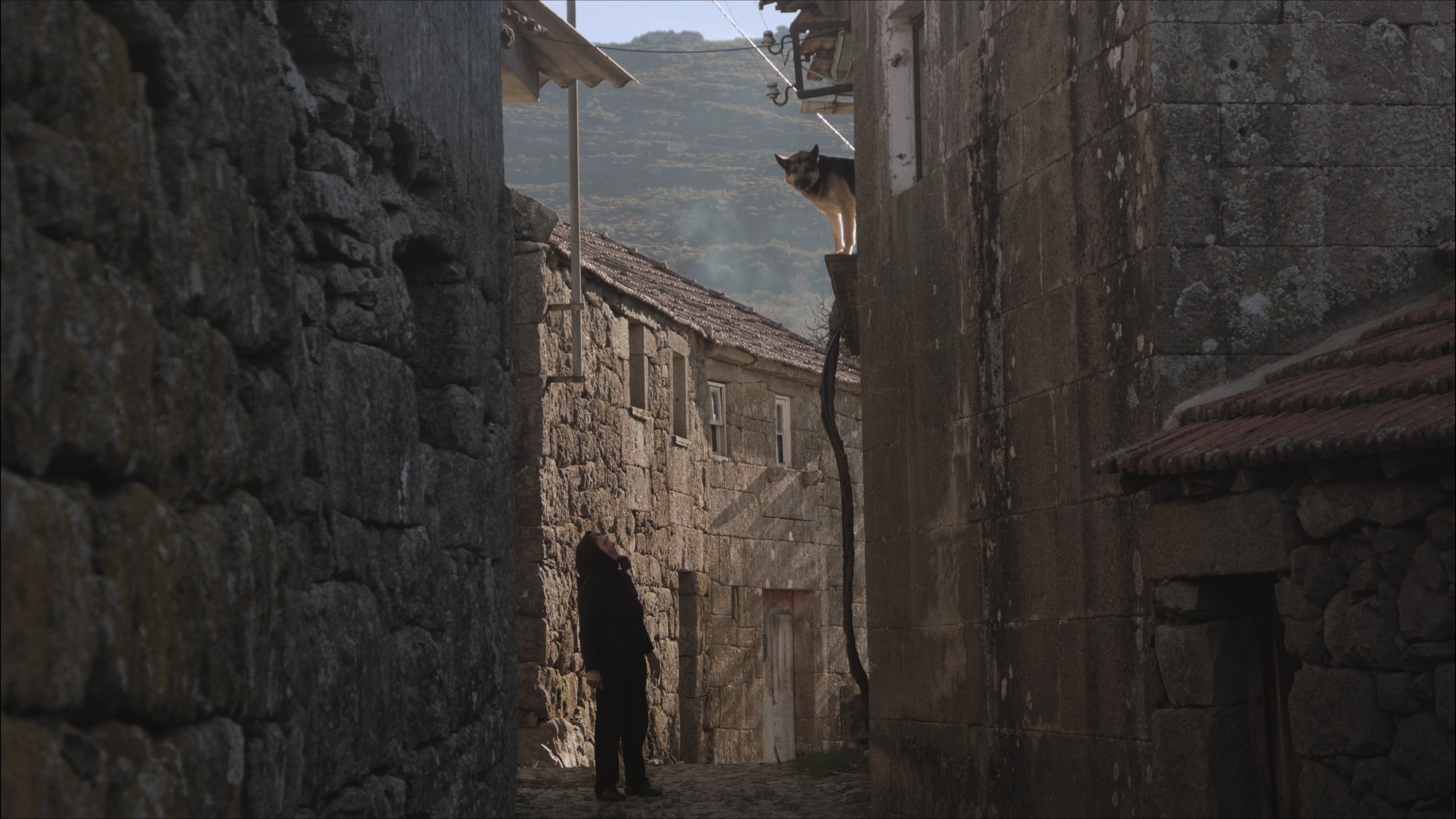 Bostofrio Background