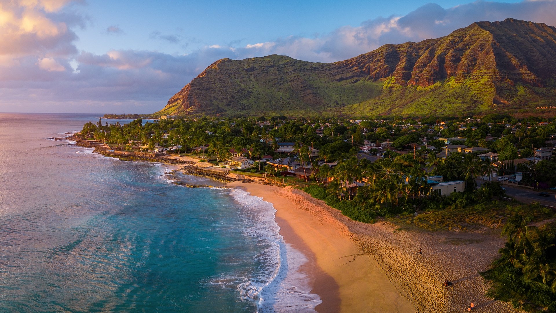 Wild Hawaii Background