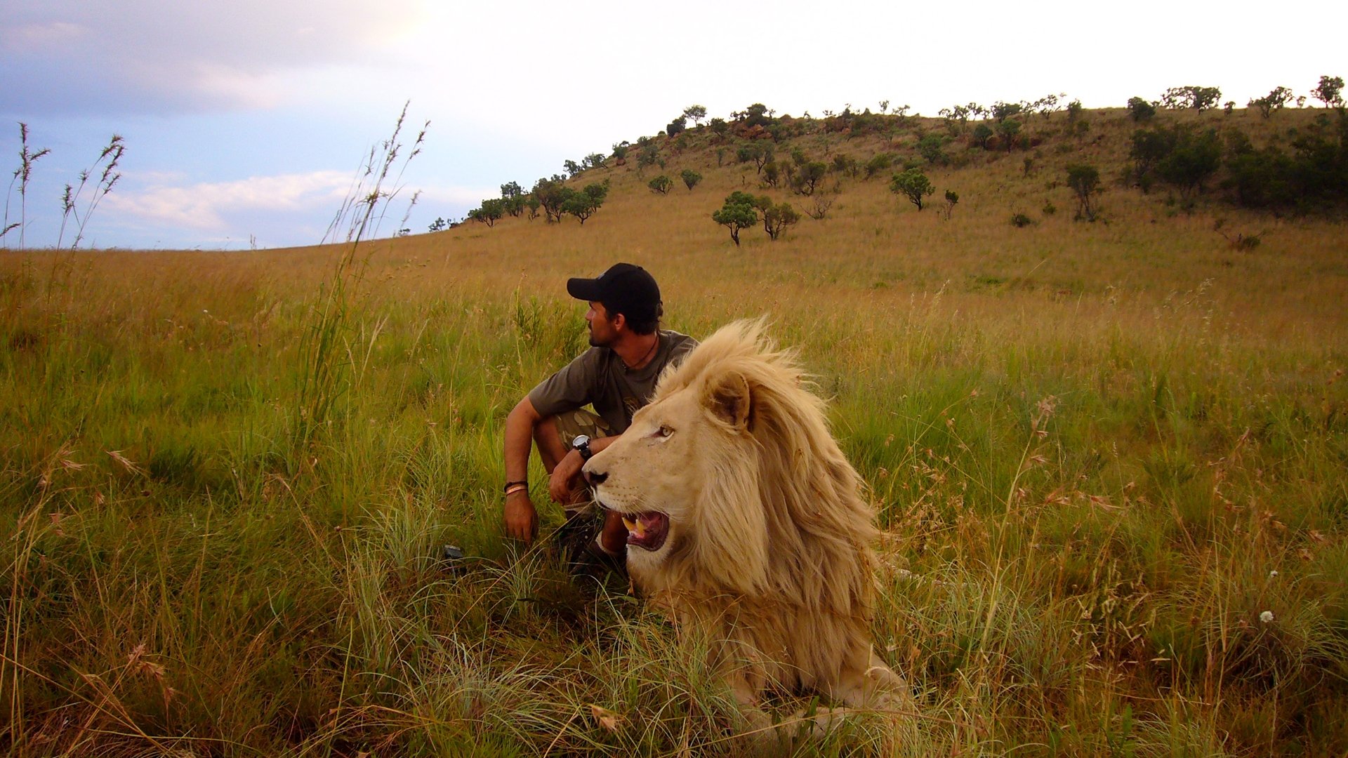 African Safari Background