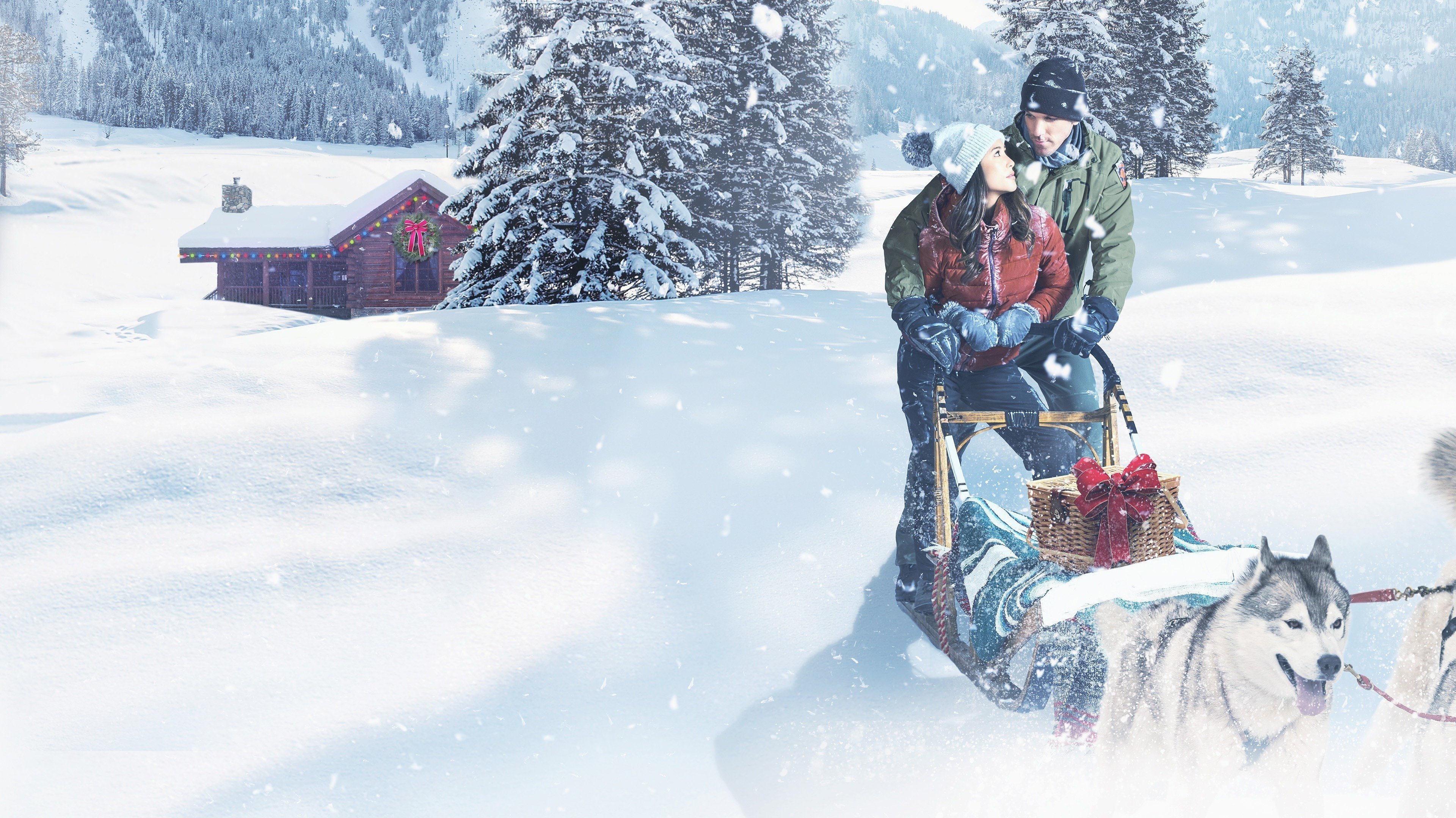 Christmas in the Wilds Background