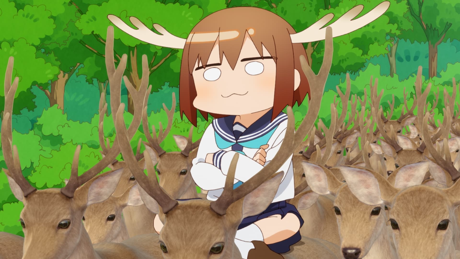 My Deer Friend Nokotan Background