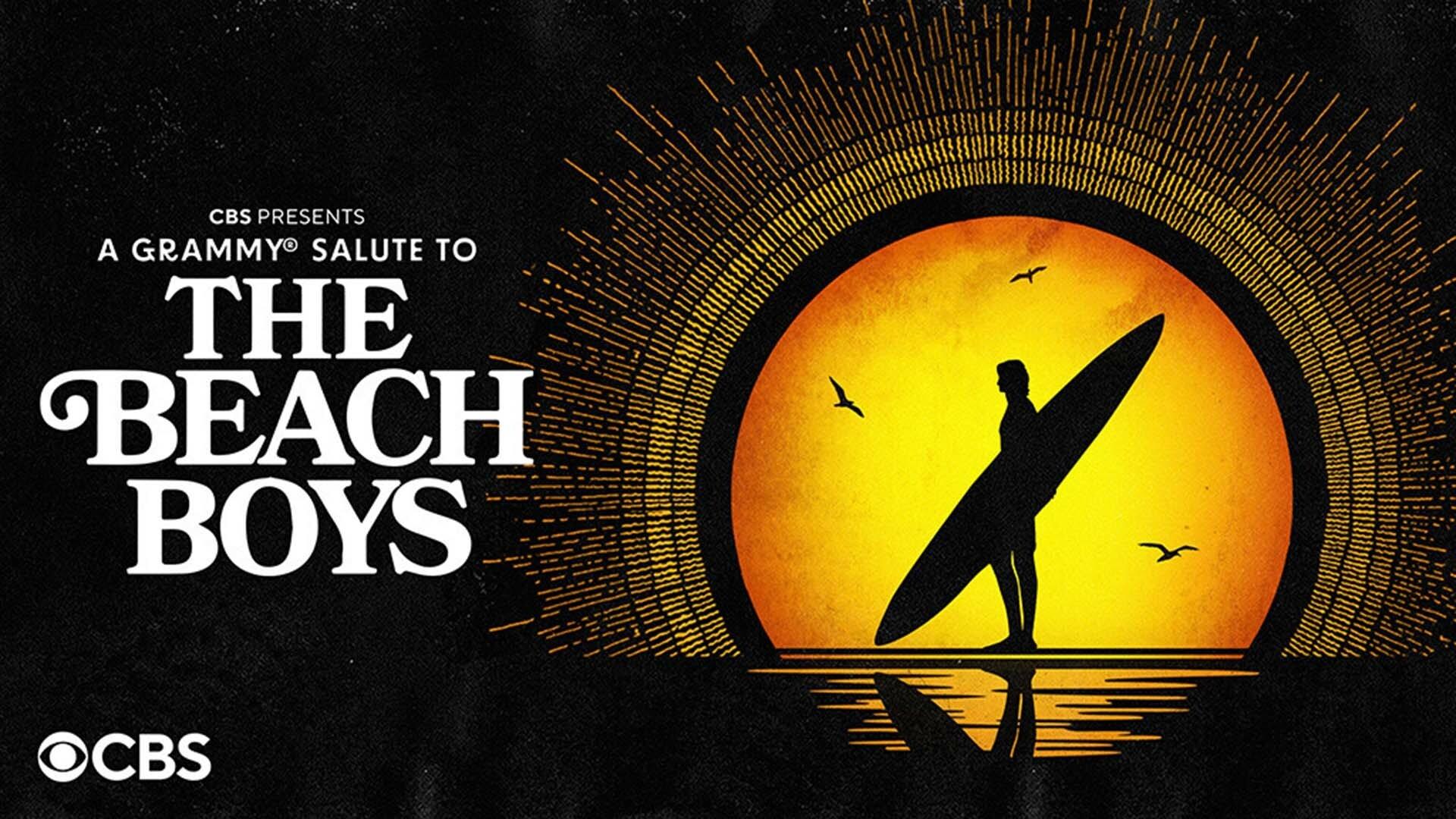 A Grammy Salute to The Beach Boys Background