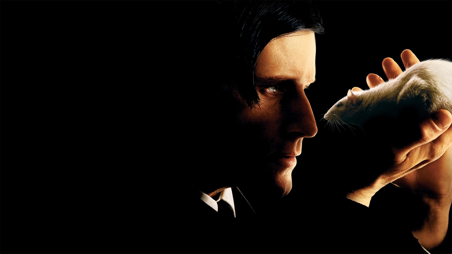 Willard Background
