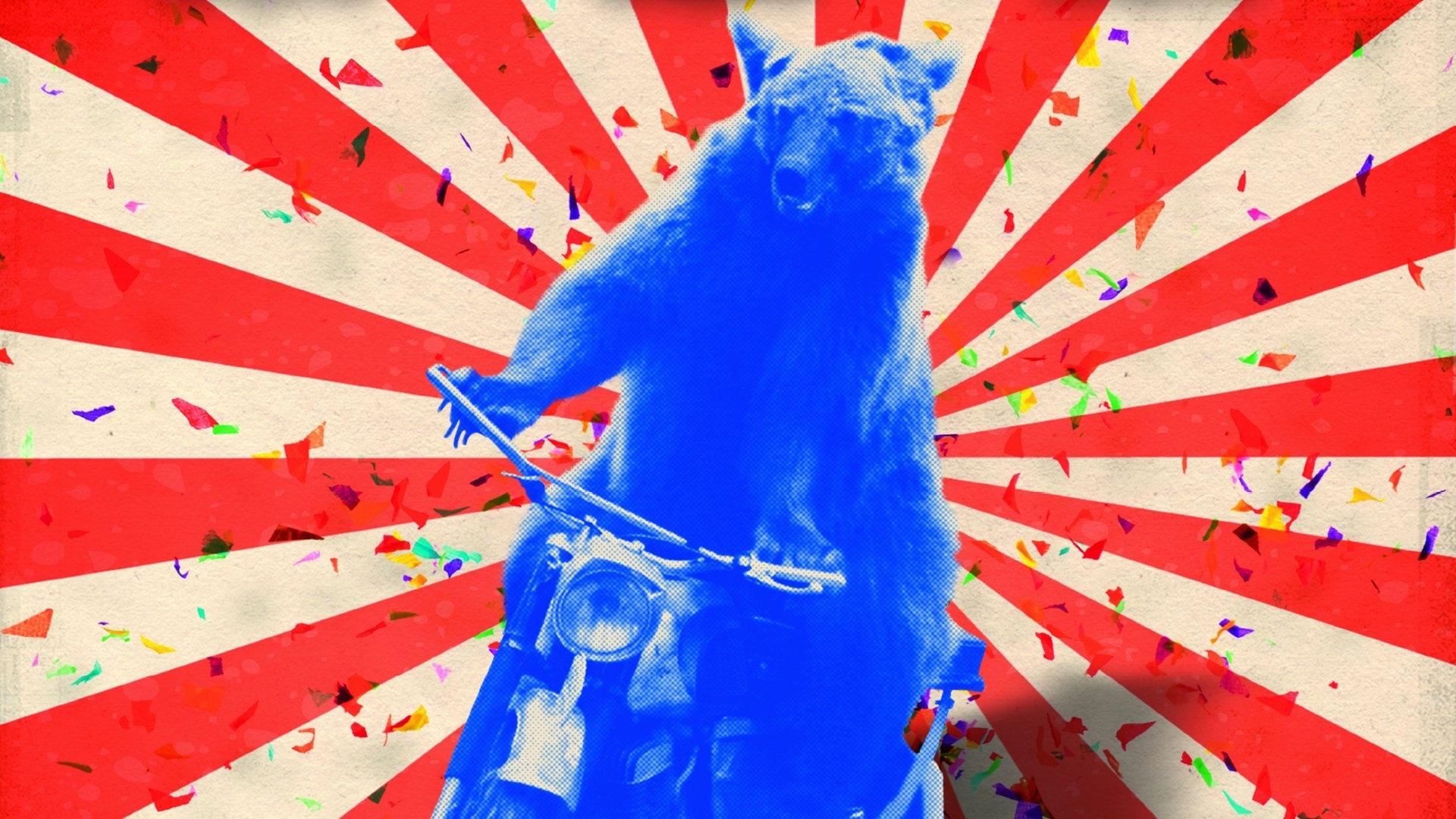 The Bear Background