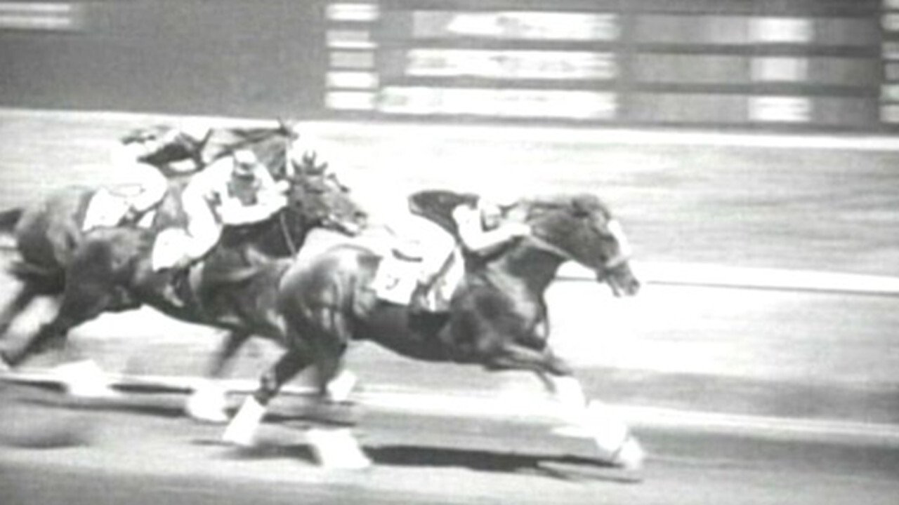 Hollywood Handicap Background