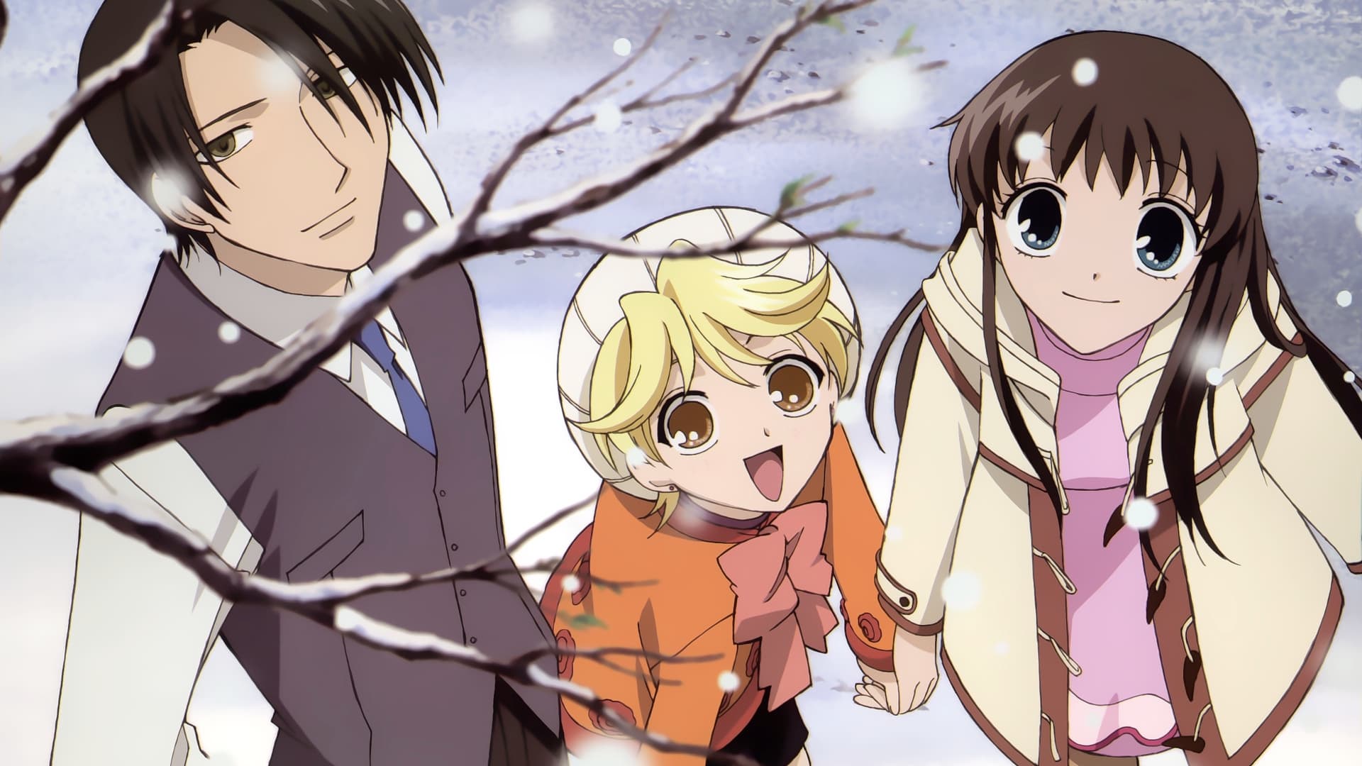 Fruits Basket Background