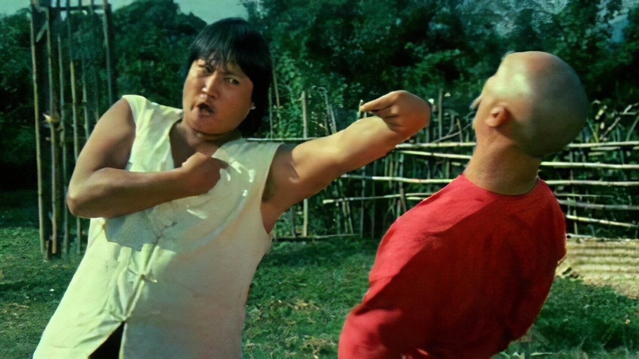 The Incredible Kung Fu Master Background