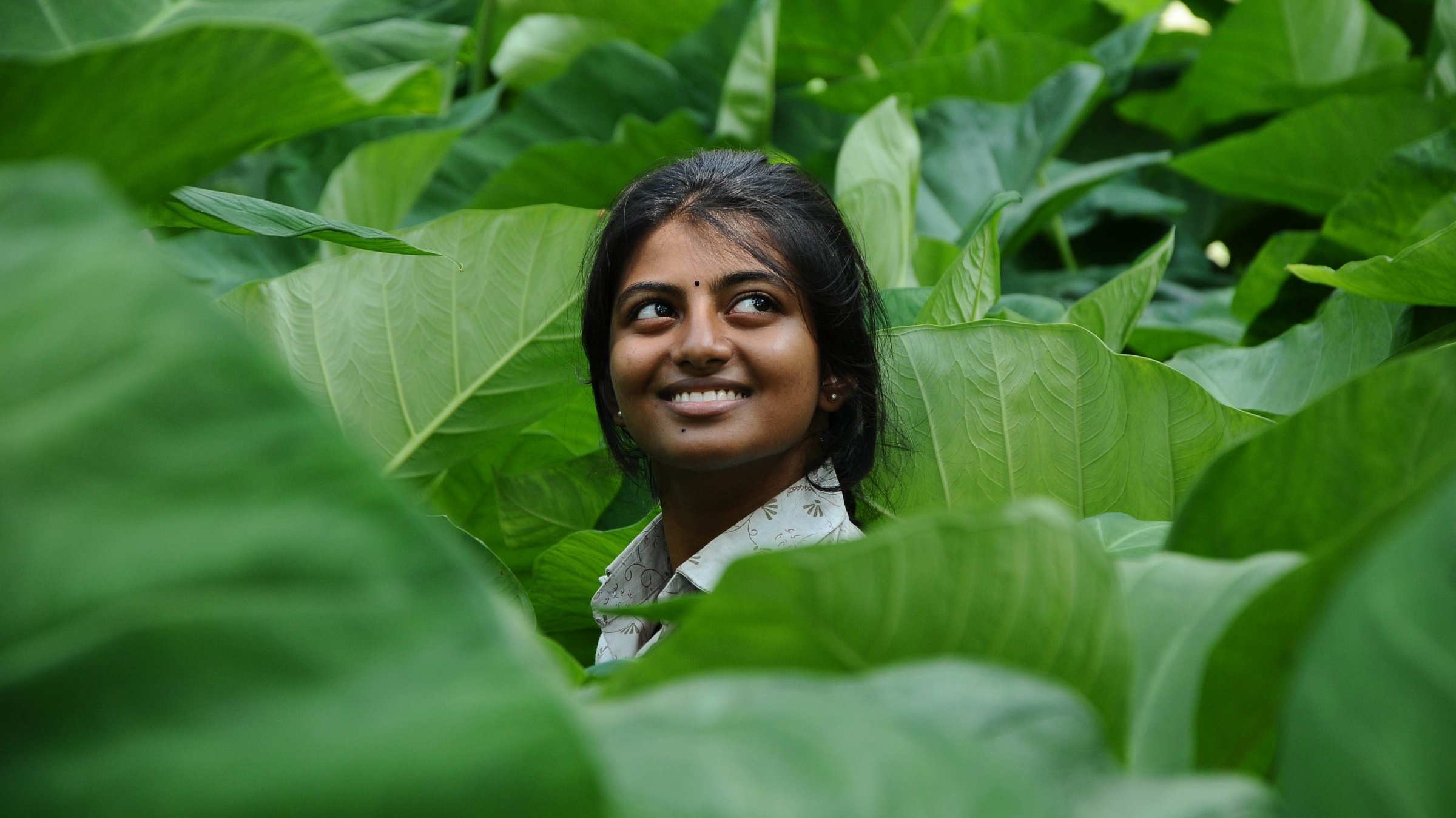 Kayal Background