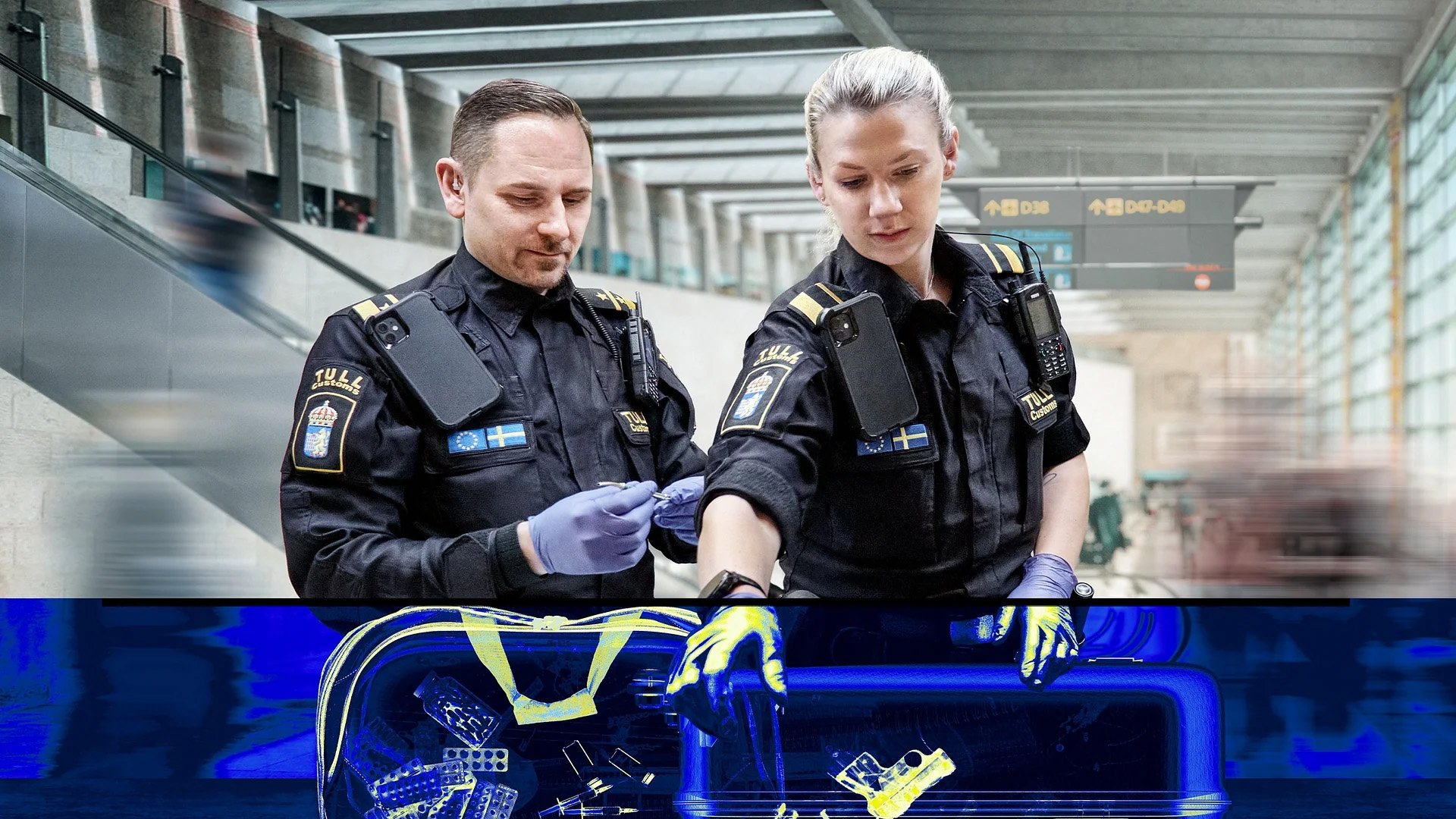 Border Control: Sweden Background