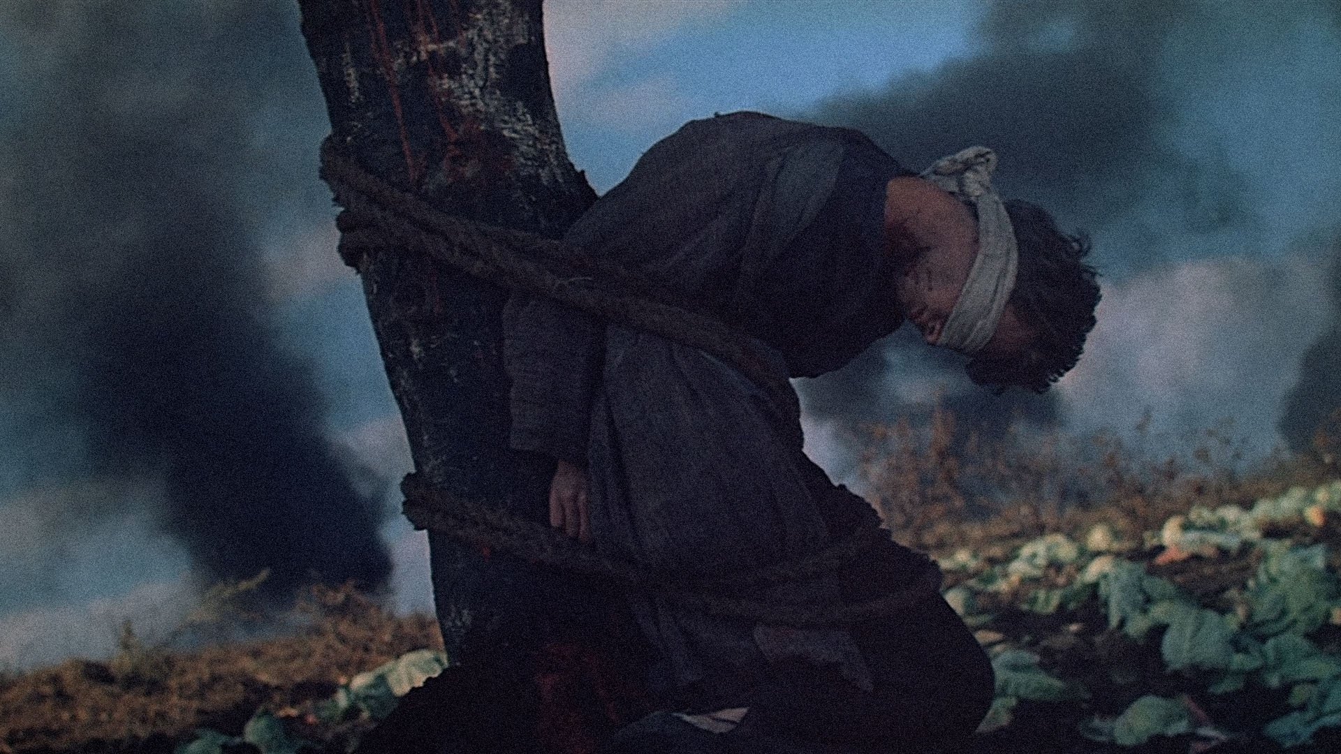 War and Peace, Part IV: Pierre Bezukhov Background