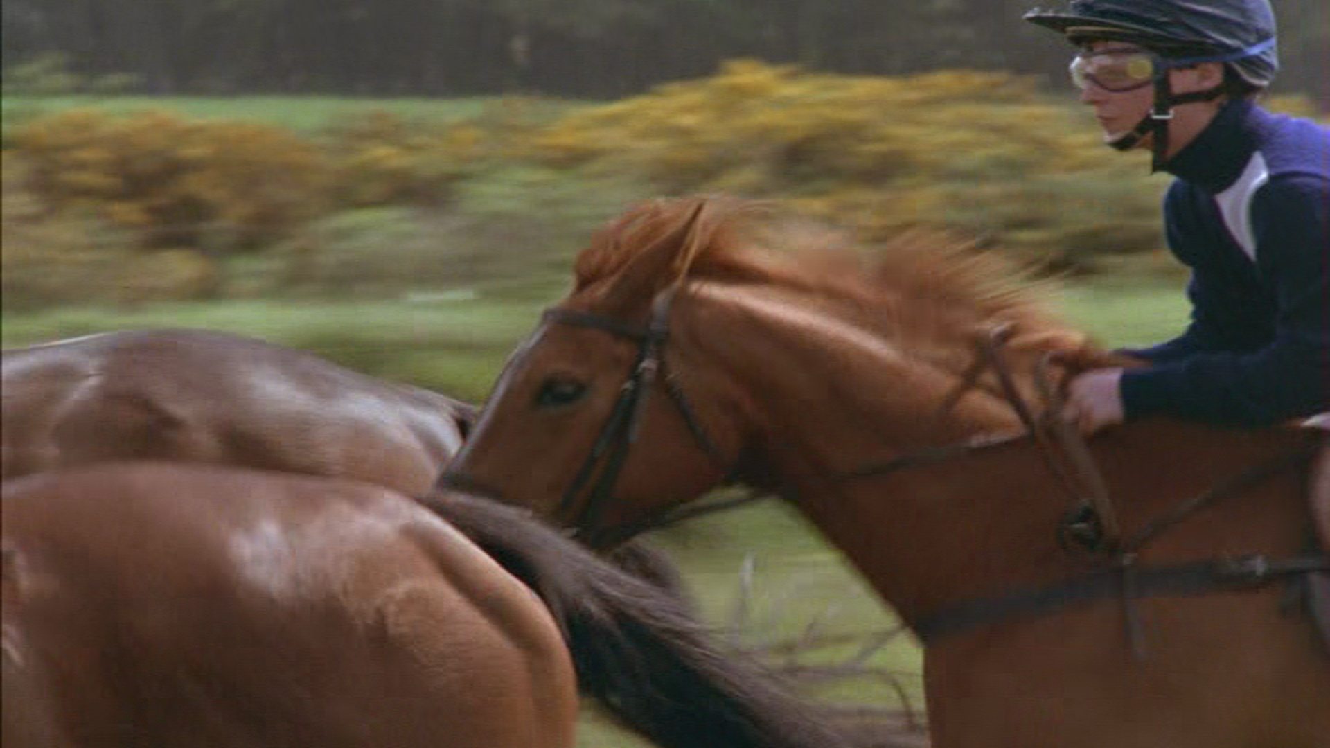 Shergar Background