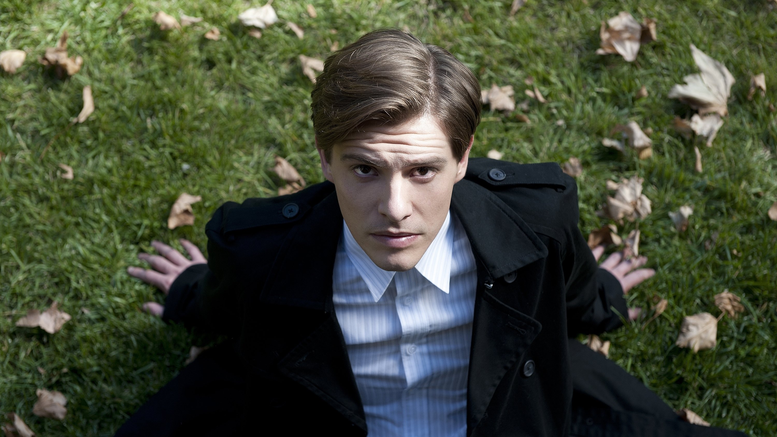 The Death and Life of Otto Bloom Background