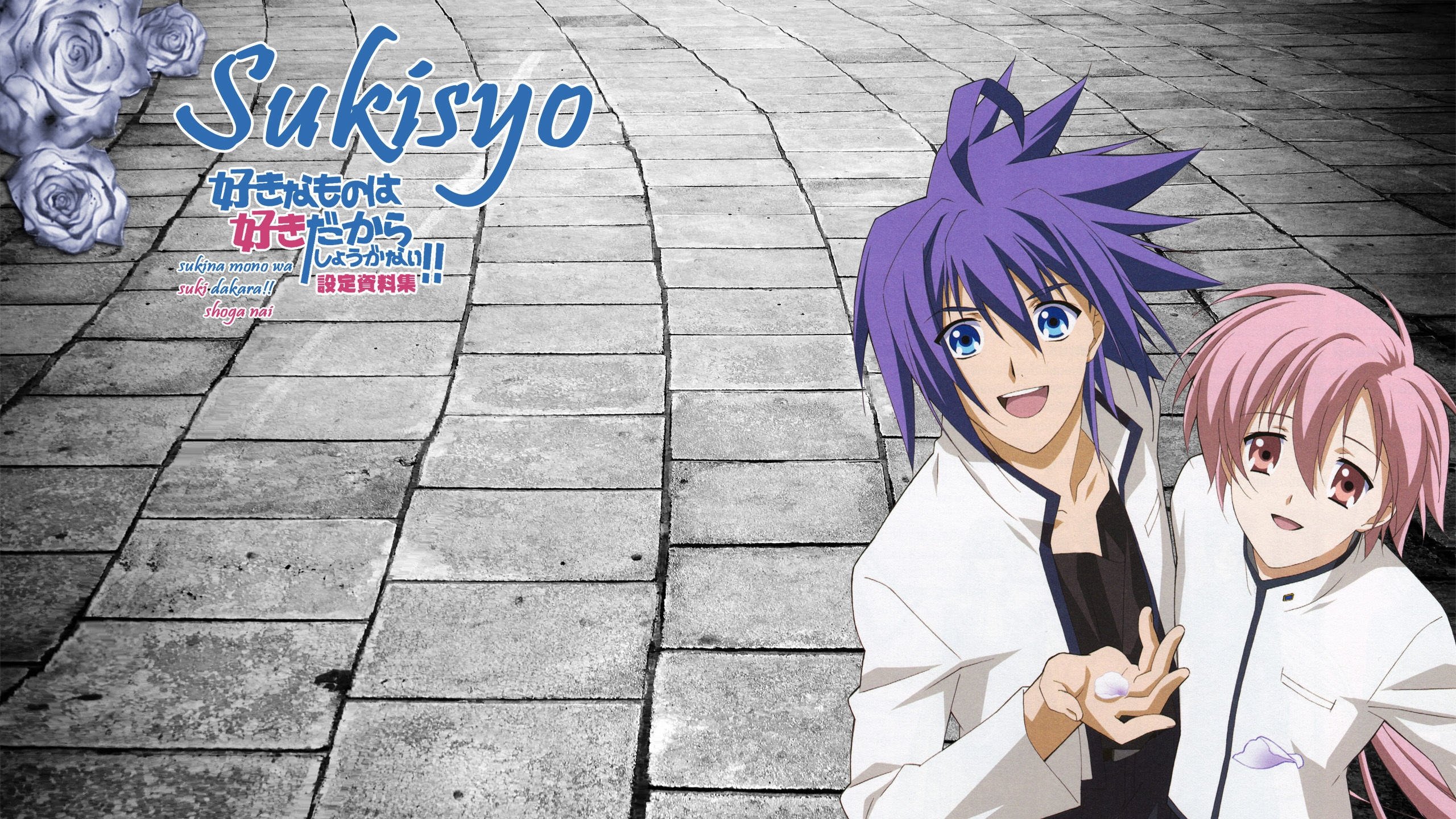 Sukisho! Background