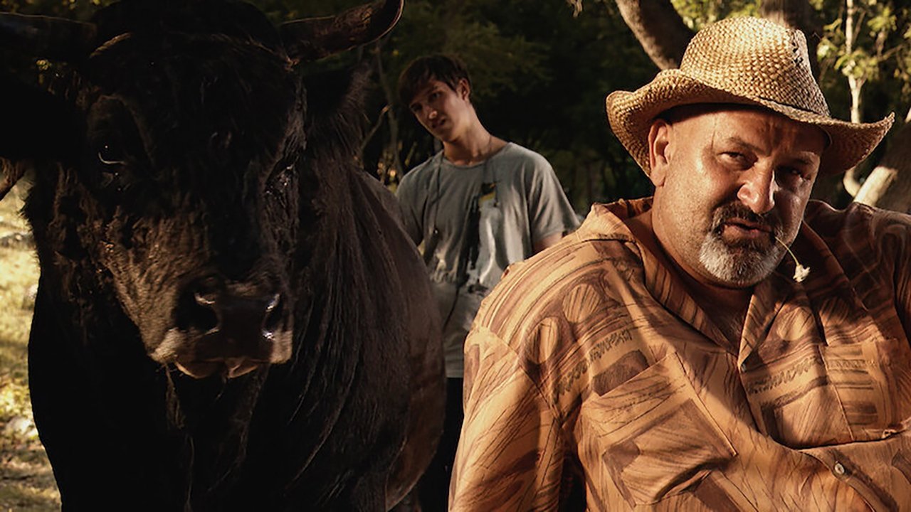 Sonja and the Bull Background